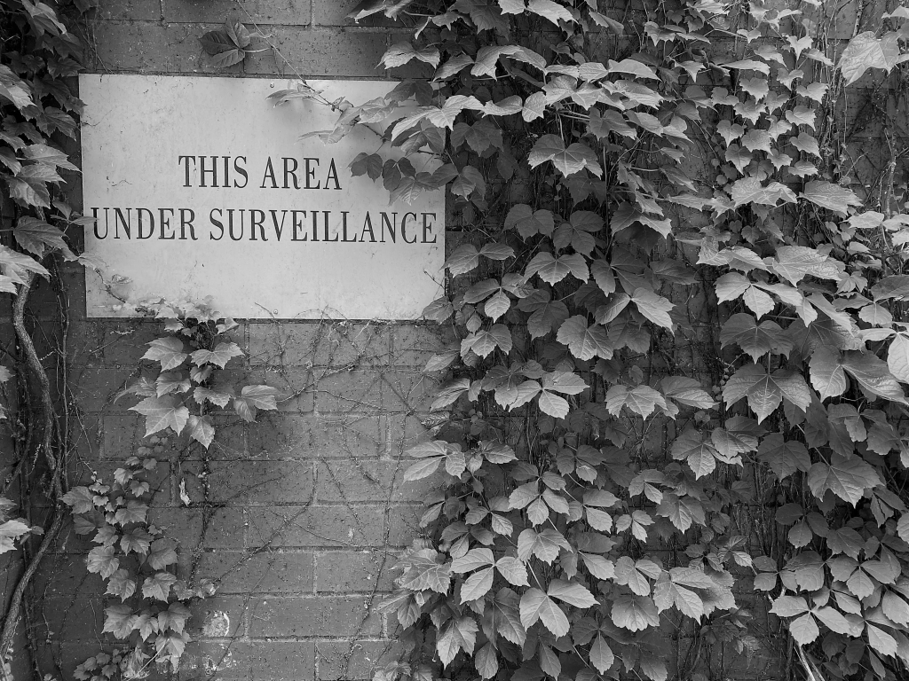 Under Surveillance